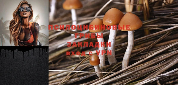 прущие крисы Алексеевка
