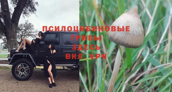 соль курить ск Алексин