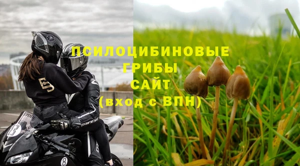 прущие крисы Алексеевка